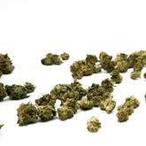 Northern Lights THCa Hemp Flower